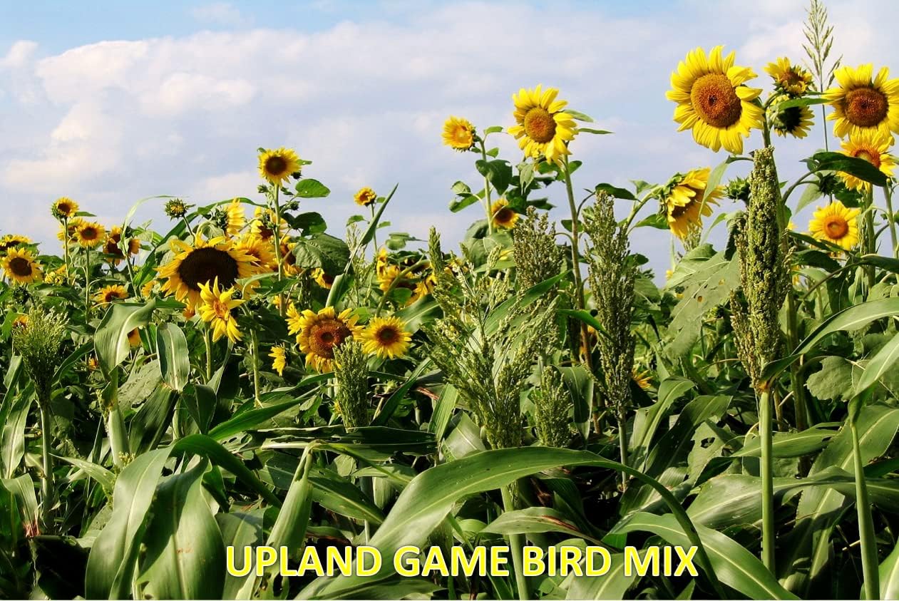 Upland Game Bird Mix (20 Pounds) - Turkey & Game Bird Food Plot Seed. A Premium Attractant for Doves, Quails, Pheasants and Turkeys That is Backed by Science