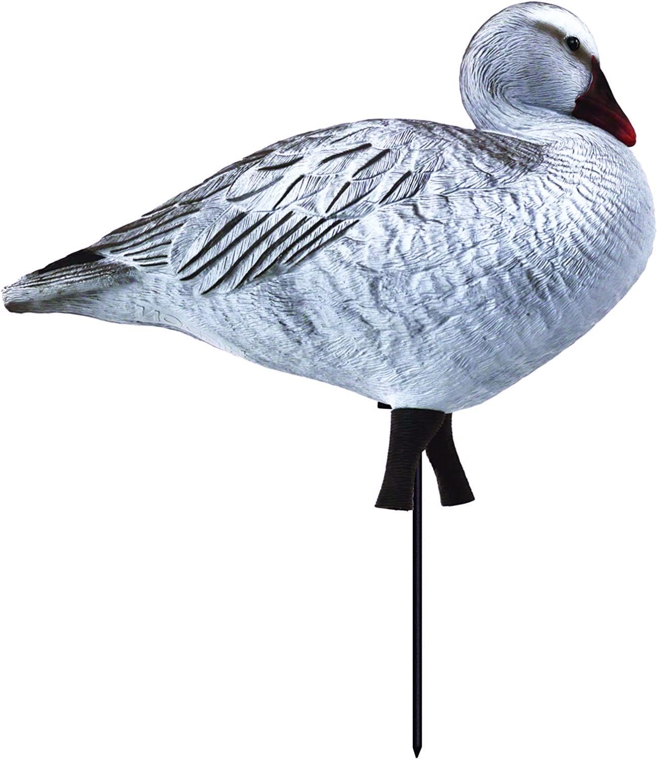 Higdon Outdoors APEX Full-Size Full-Body Variety Pack | Snow/Juvenile Goose Decoy for Waterfowl Hunting 8pk