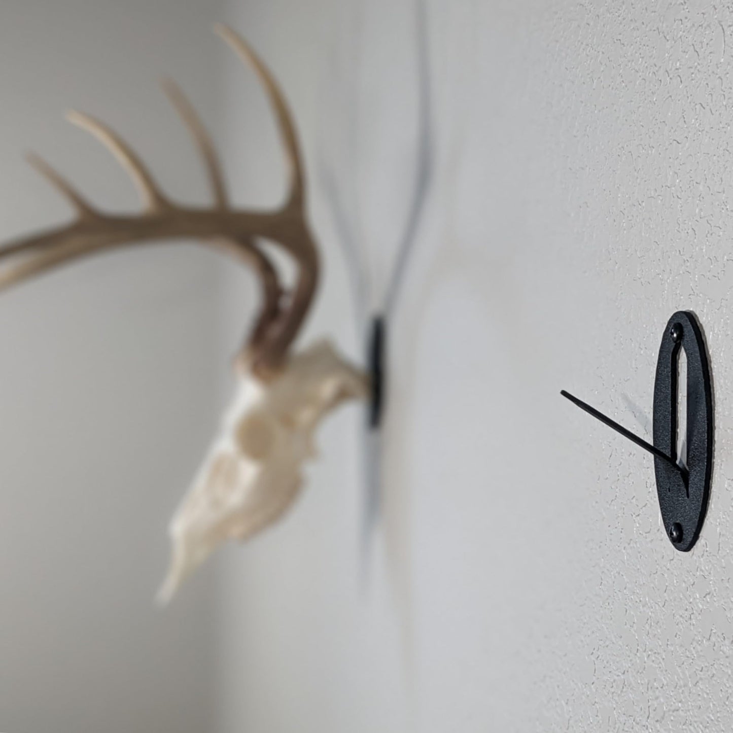 Easy European Mount Skull Hanger - Made in The USA with American Steel - Whitetail Deer Skull Hook mounting System - Euro Mount kit - Quick Install - Hog Bear Antelope Coyote