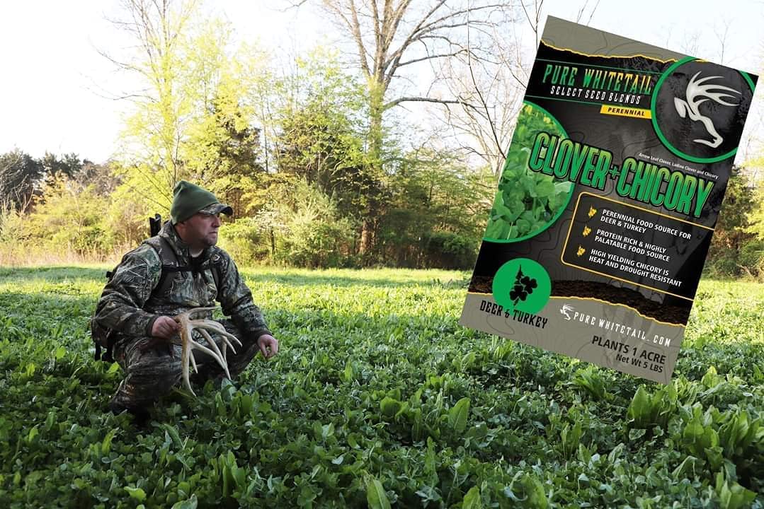 Shady Patch | All Year Deer Feeder | No Plow Food Plot Seed for Deer | Deer Food Plot Seed | White Clover Winfred Forage Brassica Rye Grass Rape Seeds| 5 lb Bags | 3-Pack