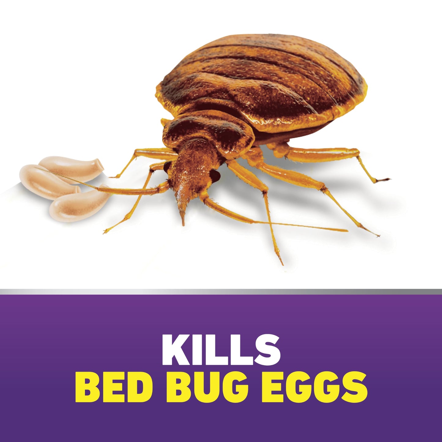 Ortho Home Defense Max Bed Bug, Flea and Tick Killer with Comfort Wand, Bed Bug Spray, Kills Bed Bug Eggs, Fleas and Ticks, 1 gal.