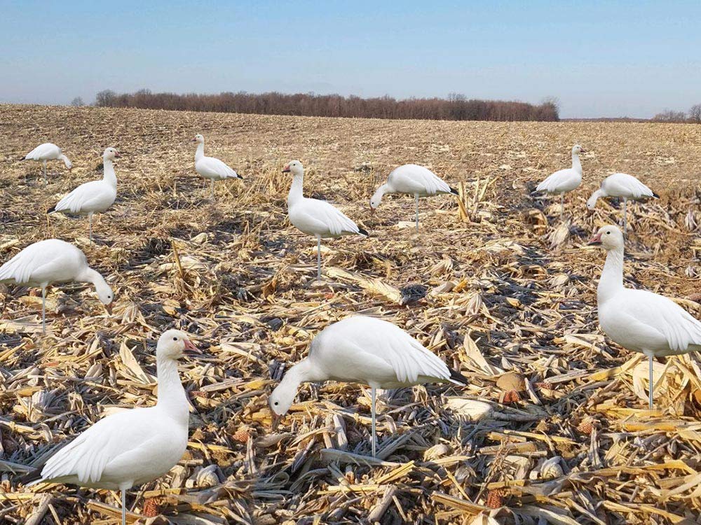 TCDesignerProducts, Silhouette Decoys, Hunting Decoys