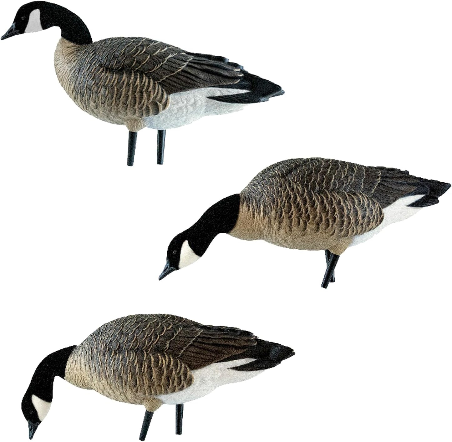Avian X AXP Lessers Outfitter Pack, 12 Full Body Canada Goose Decoys, Oversized, Flocked Heads, 12 Stakes, Incudes 12-Slot Bag