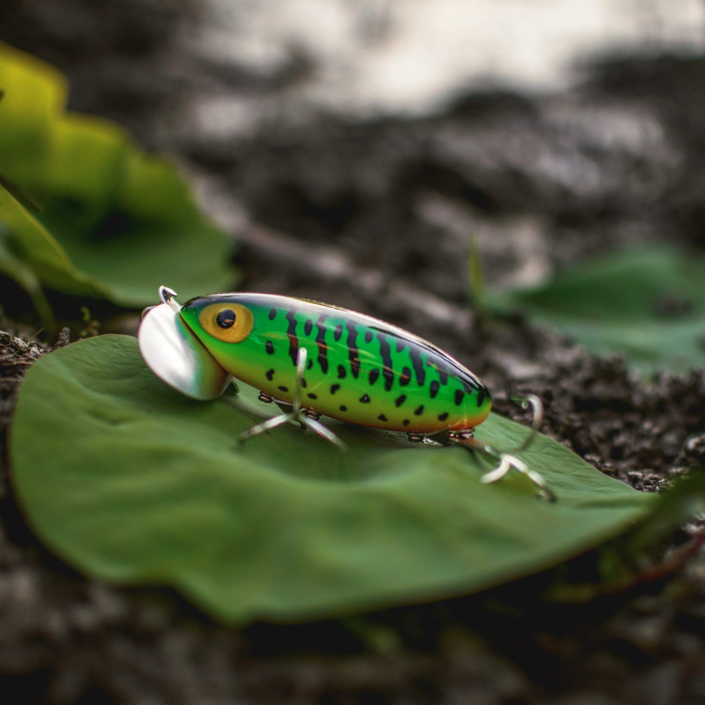 Jitterbug Topwater Bass Fishing Lure - Excellent for Night Fishing