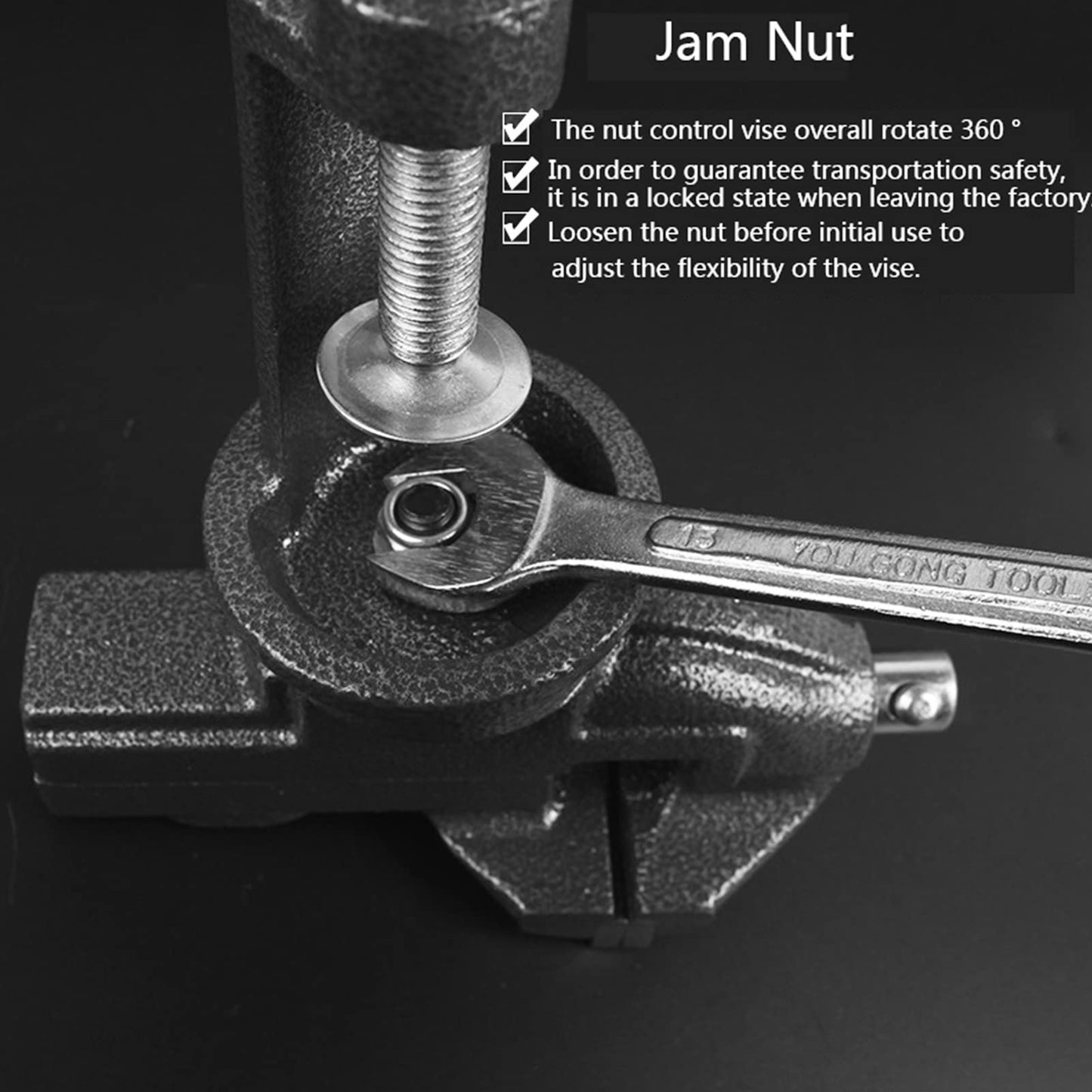 MYTEC Home Vise Clamp-On Vise,2.5"