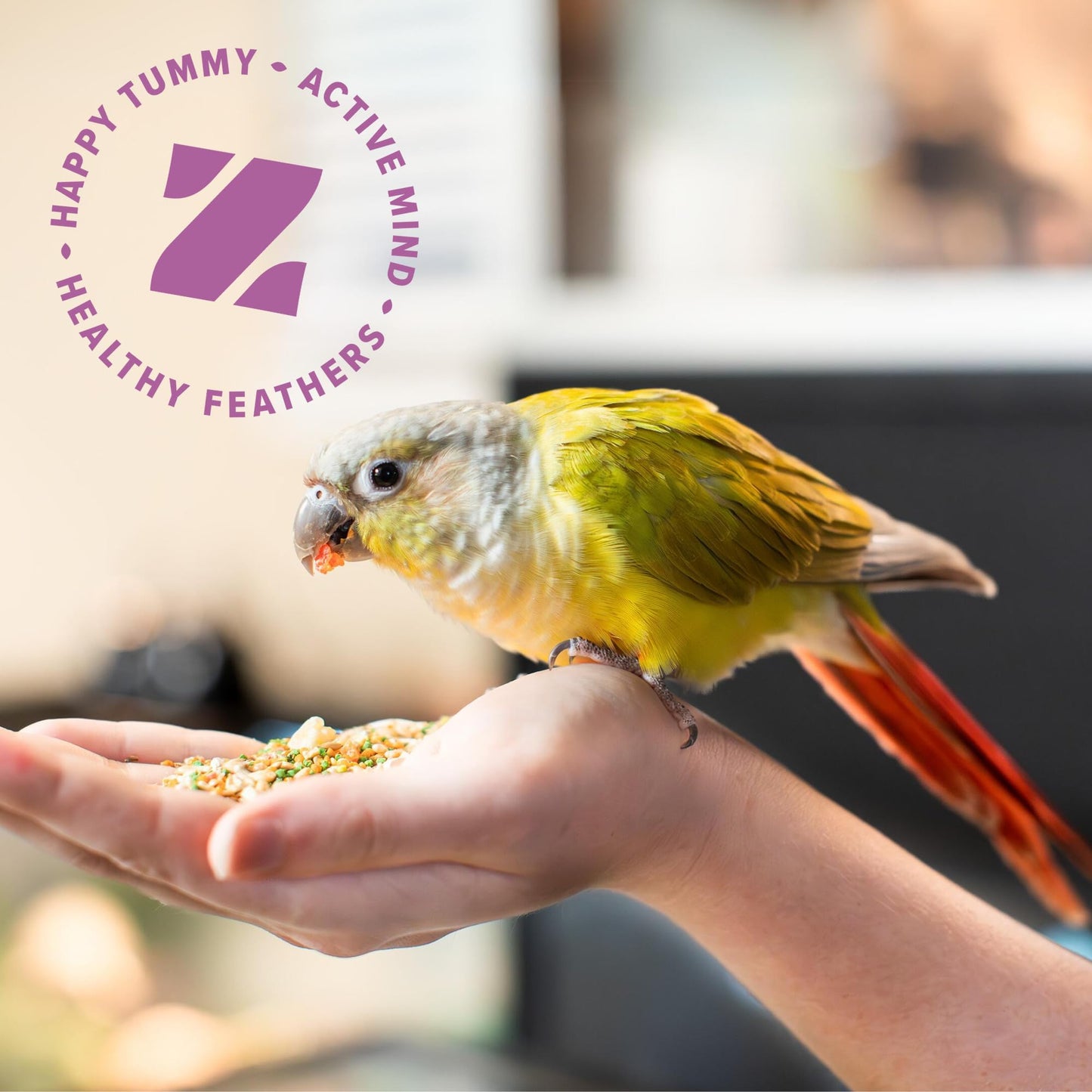 ZuPreem Sensible Seed Bird Food, Cockatiel, Lovebird, Quaker, Small Conure, Seed and Pellet Blend for Medium Birds, Food Mixer Topper, Enriching Variety, Made in the USA, (M, 2 lbs)