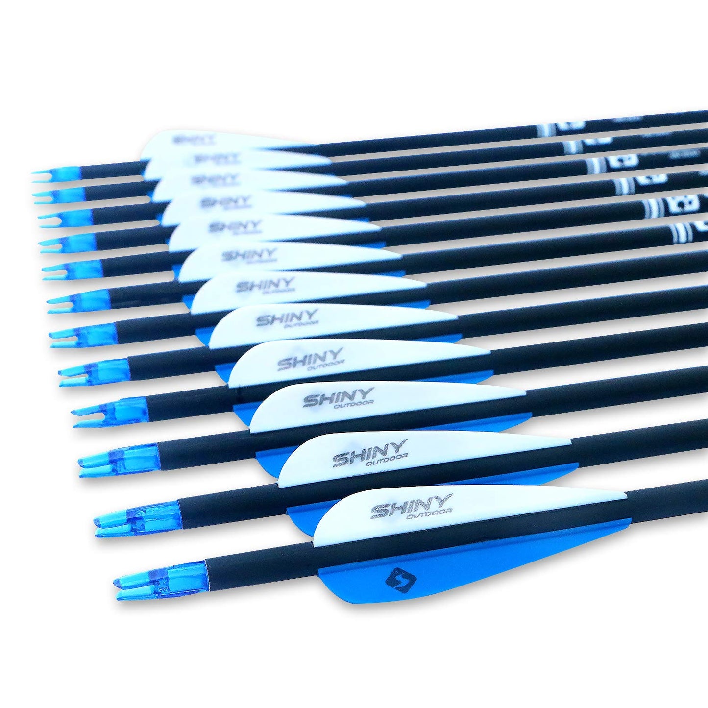 30Inch Carbon Arrow Practice Hunting Arrows with Removable Tips for Compound & Recurve Bow(Pack of 12)
