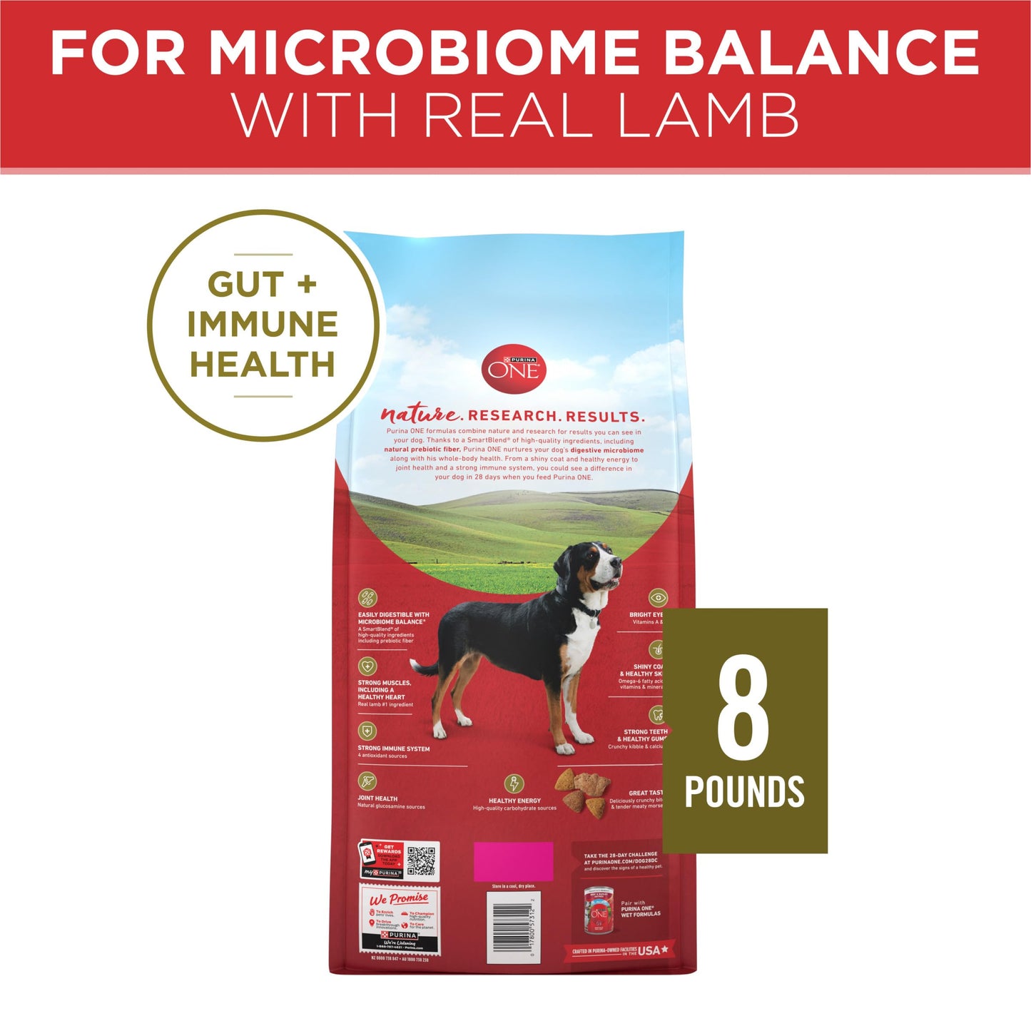 Purina ONE Dry Dog Food Lamb and Rice Formula - 31.1 lb. Bag