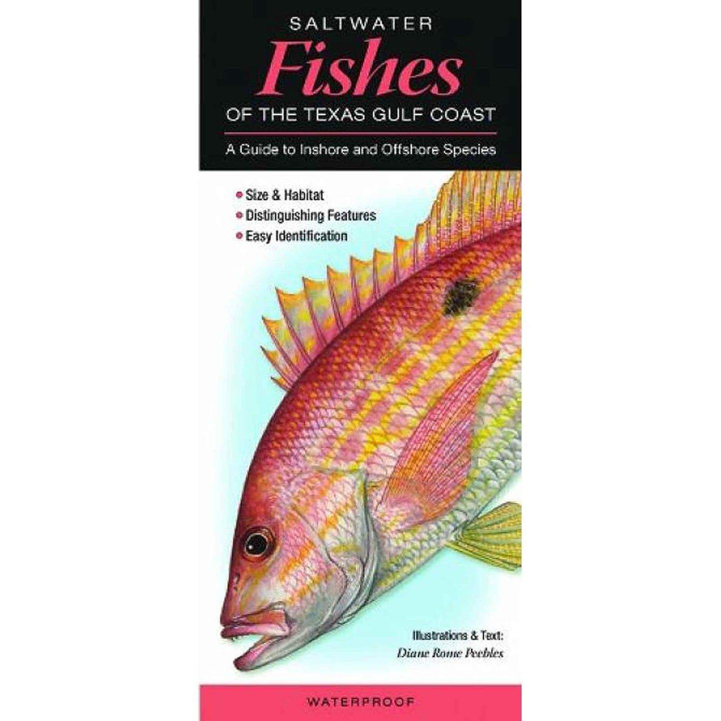 Saltwater Fishes of the Texas Gulf Coast: A Guide to Inshore & Offshore Species