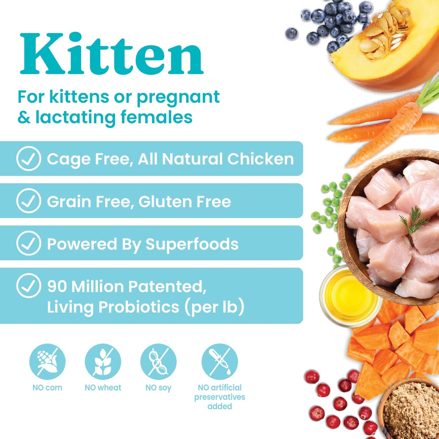 Solid Gold High Protein Dry Cat Food - Grain Free & Gluten Free Chicken Cat Dry Food w/Probiotics for Gut Health & Digestion - High Fiber & Omega 3 - Low Carb Superfood Kibble for Cats All Ages - 6LB