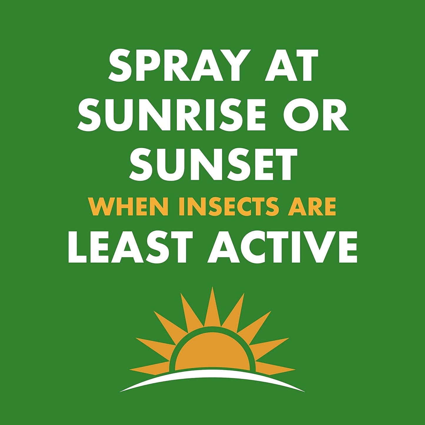 Spectracide Wasp & Hornet 3, 12 Pack, 18.5 Oz Insect Killer