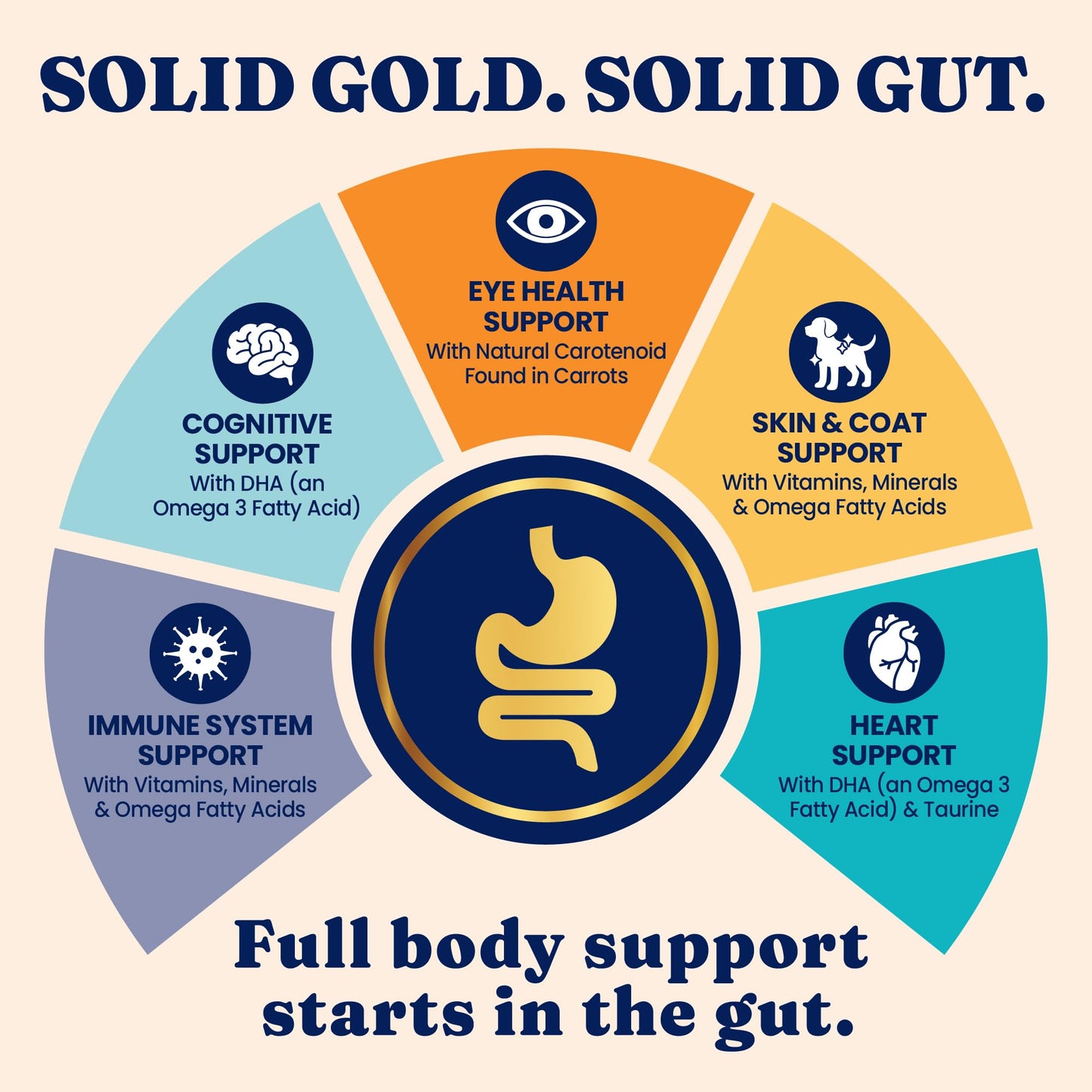 Solid Gold High Protein Dry Cat Food - Grain Free & Gluten Free Chicken Cat Dry Food w/Probiotics for Gut Health & Digestion - High Fiber & Omega 3 - Low Carb Superfood Kibble for Cats All Ages - 6LB