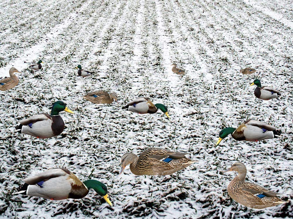 TCDesignerProducts, Silhouette Decoys, Hunting Decoys