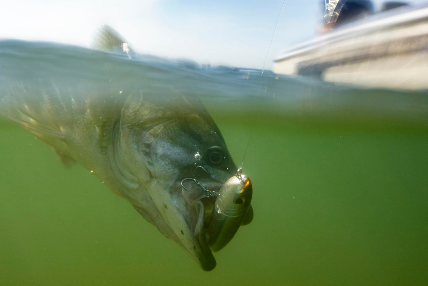 Berkley Choppo Fishing Hard Bait