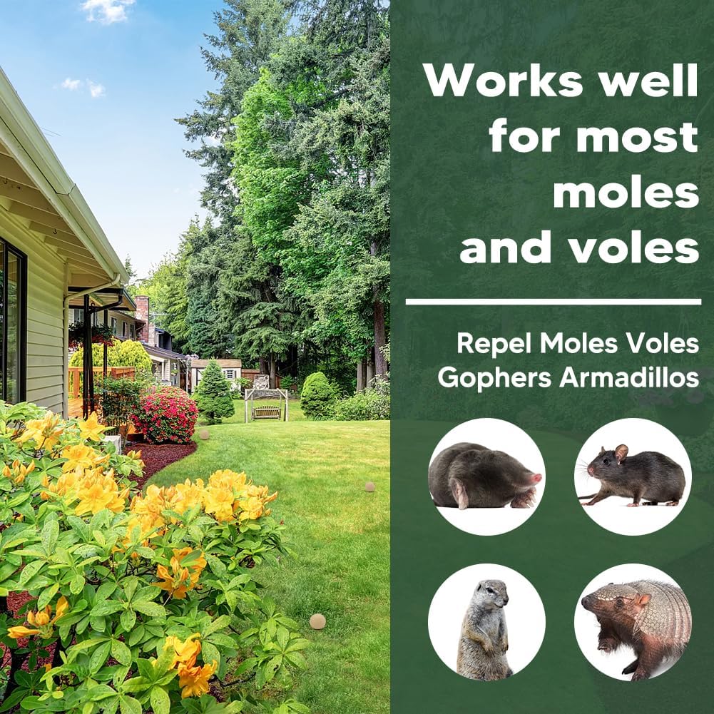 Mole Repellent Outdoor, Vole Repellent Outdoor, Get Rid of Ground Mole, Gopher Repellent, Mole Deterrent for Yard, Groundhog Repellent, Mole Control-8P
