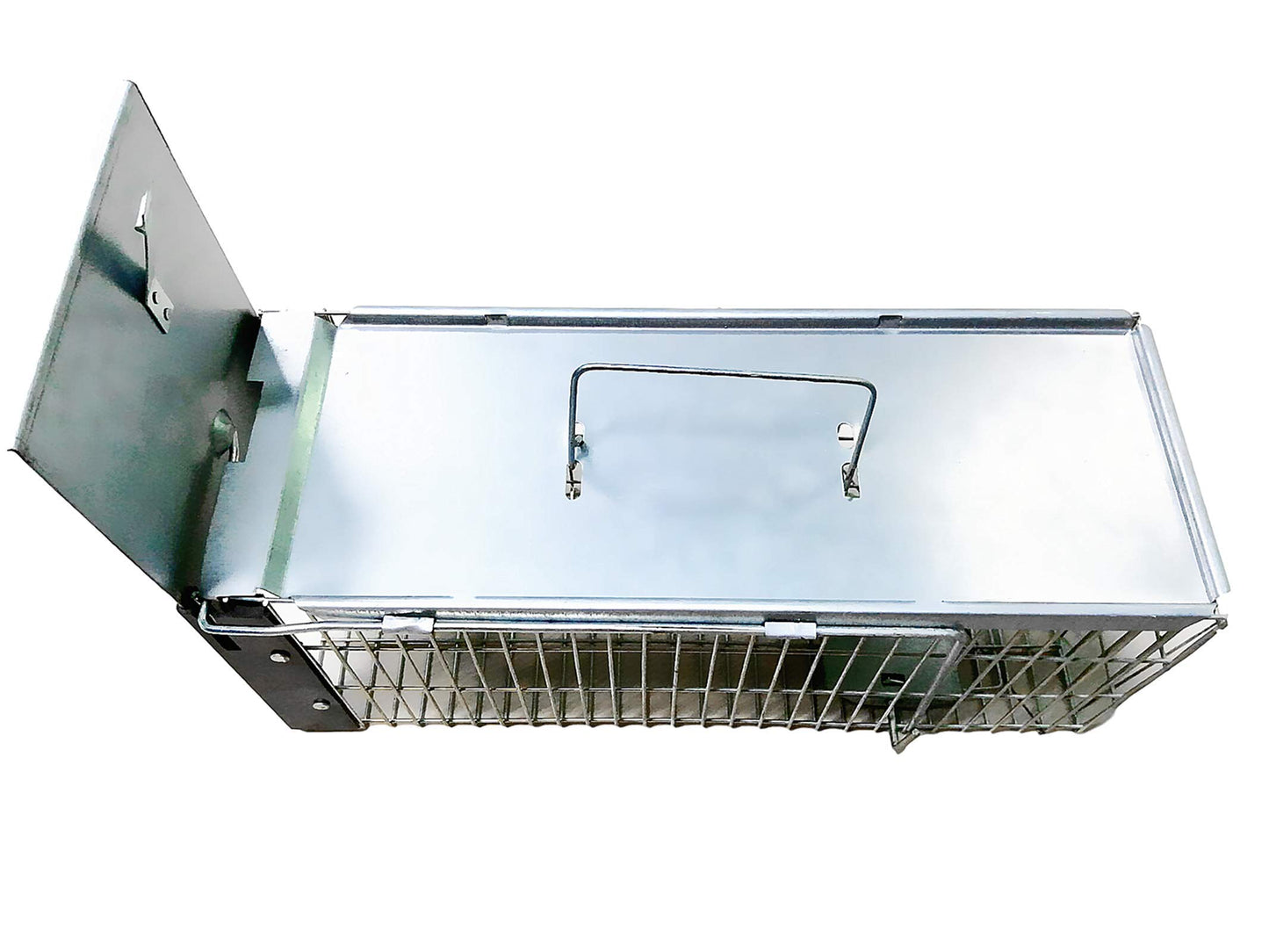 Faicuk Heavy Duty Squirrel Trap Chipmunk Trap Rat Trap and Other Similar-Size Rodents - 16.3” x 6” x 6.7”