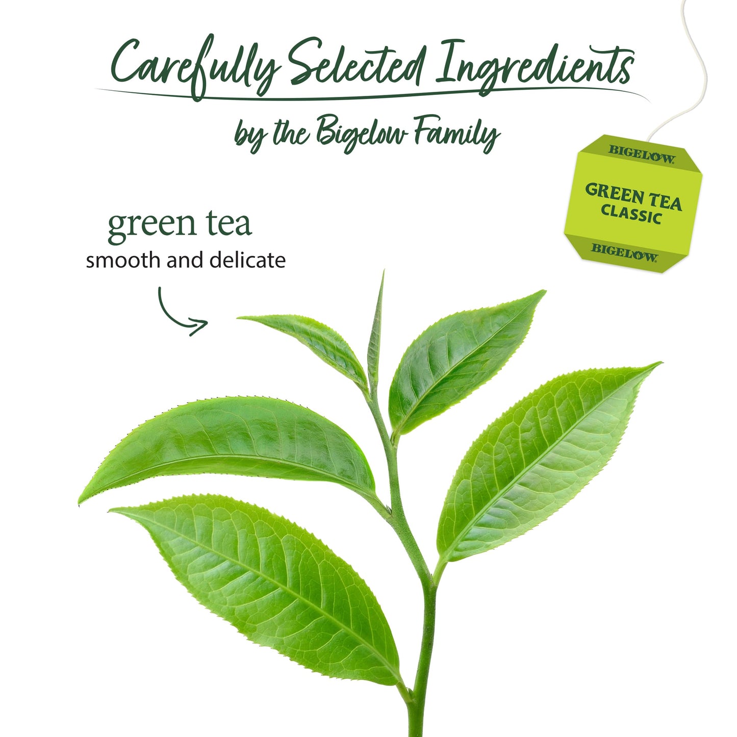Bigelow Tea Green Tea Variety Pack, Classic Green Tea, Lemon, Pomegranate, Mint, Peach and Constant Comment Flavors, 20 Count Box (Pack of 6), 120 Total Tea Bags