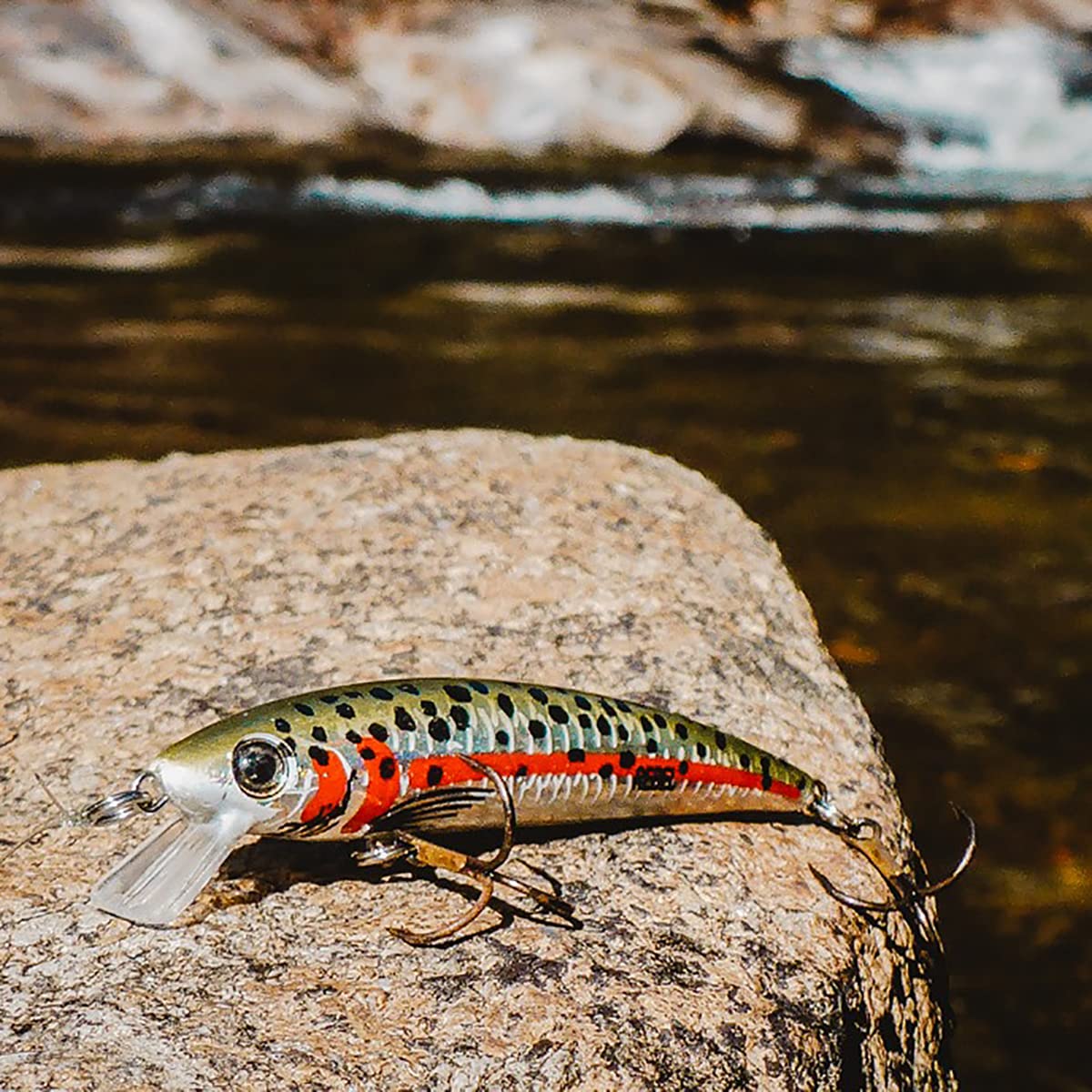 Rebel Lures Pop-R Topwater Popper Fishing Lure