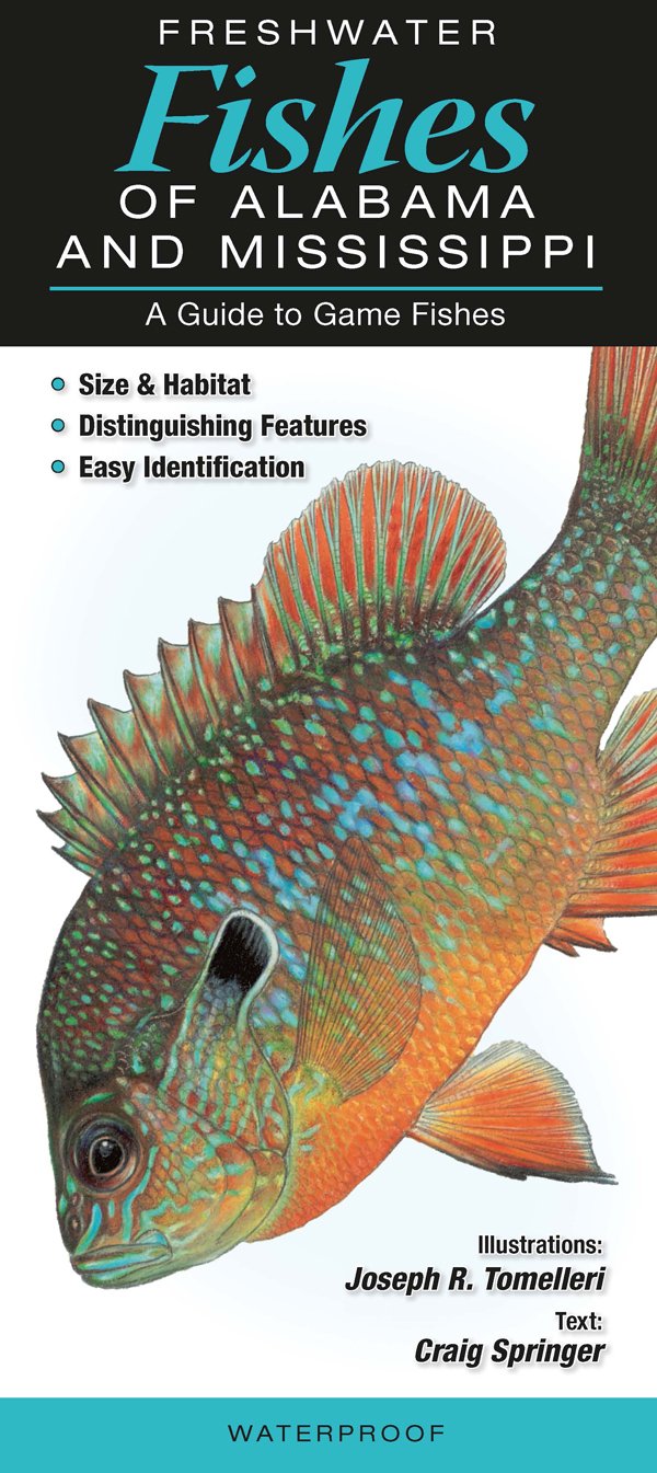 Freshwater Fishes of Alabama & Mississippi: A Guide to Game Fishes