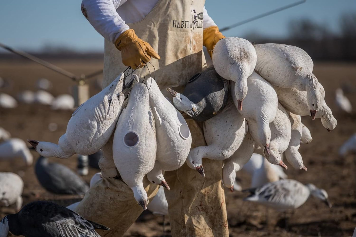 Hardcore Waterfowl Rugged Series Full Body Snow and Blue Goose Touchdown Decoys 12-Pack