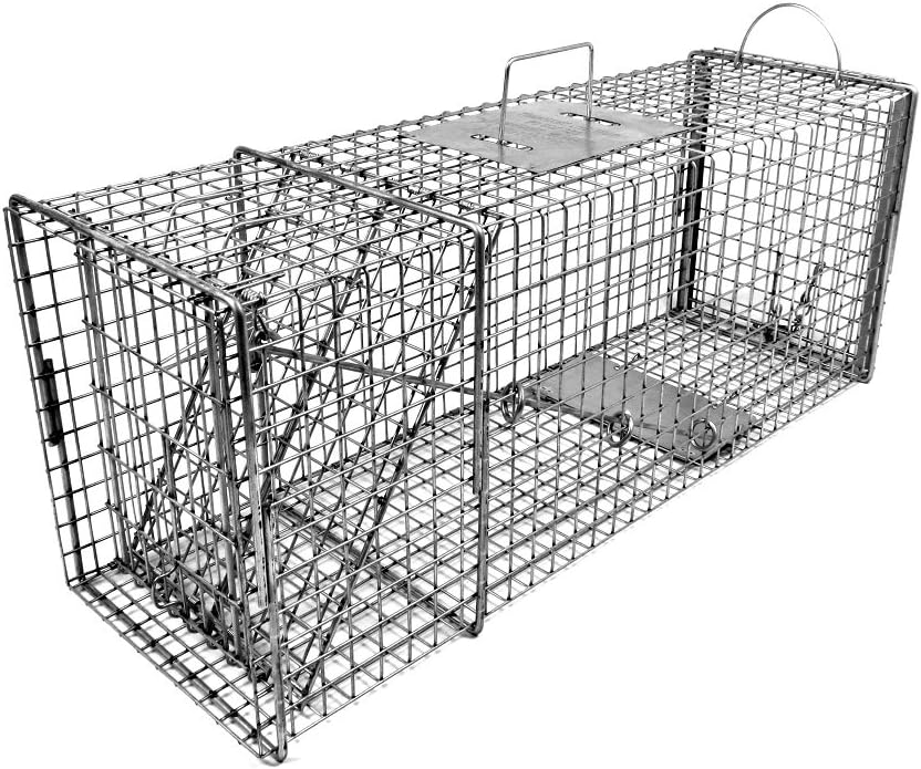 Tomahawk Model 608.1 - Original Series Rigid Live Trap with one Trap Door and Easy Release Door - 32x10x12 for Raccoon, Feral Cat, Badger, Woodchuck, Armadillo Sized Animals