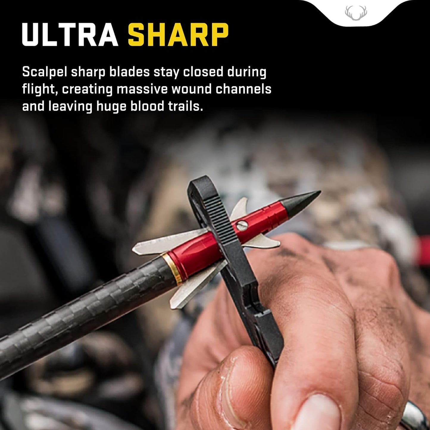 TenPoint Ten Point HEA-800.3 EVO-X Center Punch Broadhead Rear Deploying, Multi, One Size