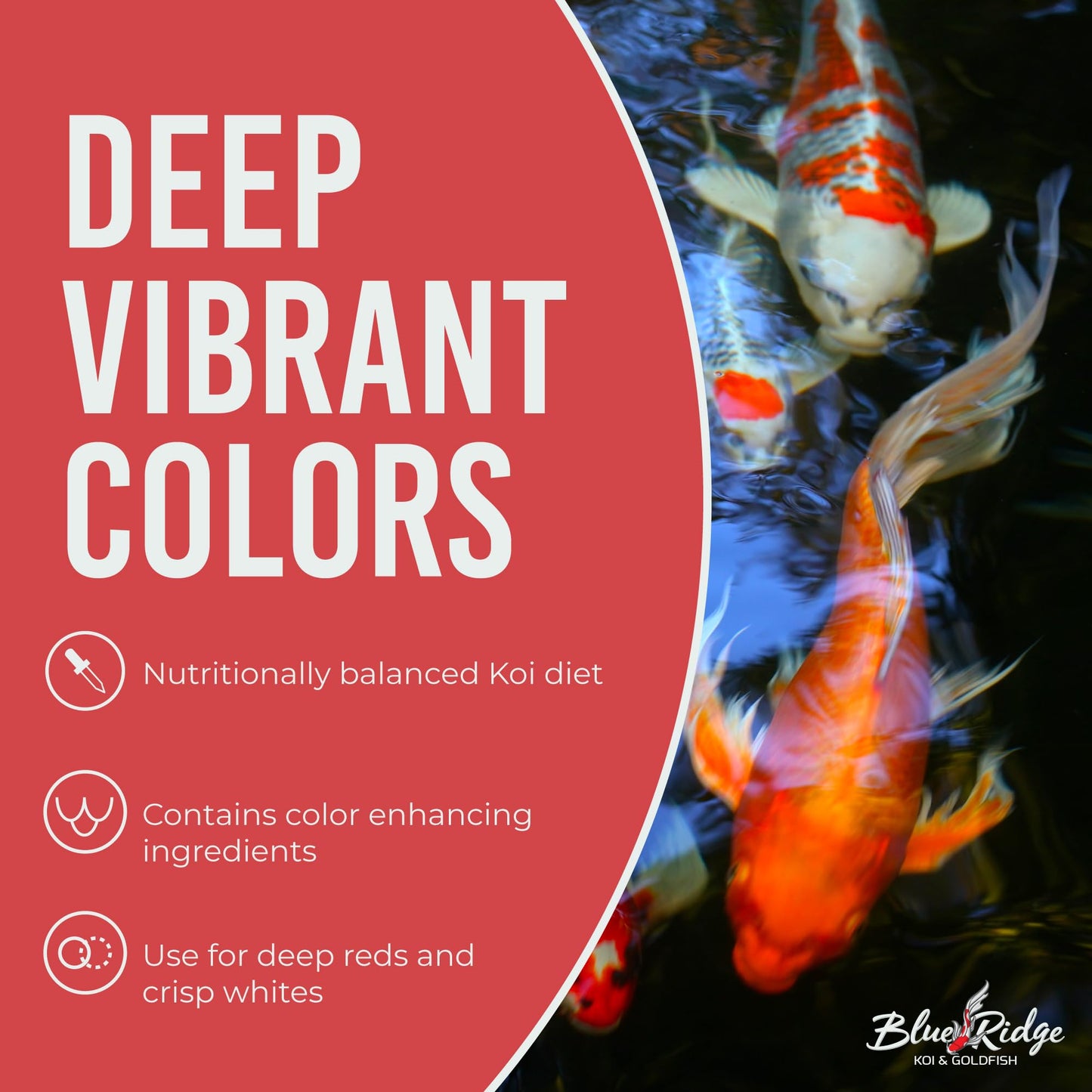 Blue Ridge Koi Fish Food 14lb - Koi Food 3/16” Platinum Pro Formula Goldfish Food, Premium Fish Food for Ponds, Ponds Fish Food, Floating Pond Pellet