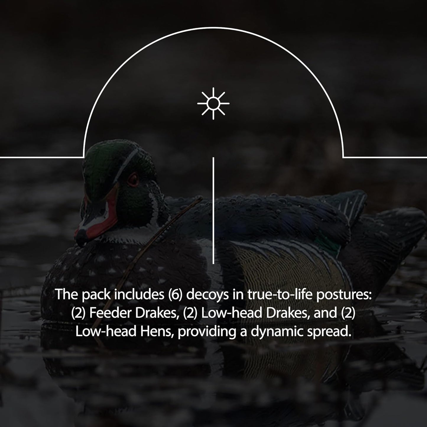 Avian X Topflight Pintail Decoys, Rugged Realistic Floating Duck Decoys for Hunting, Weight-Forward Swim Keel