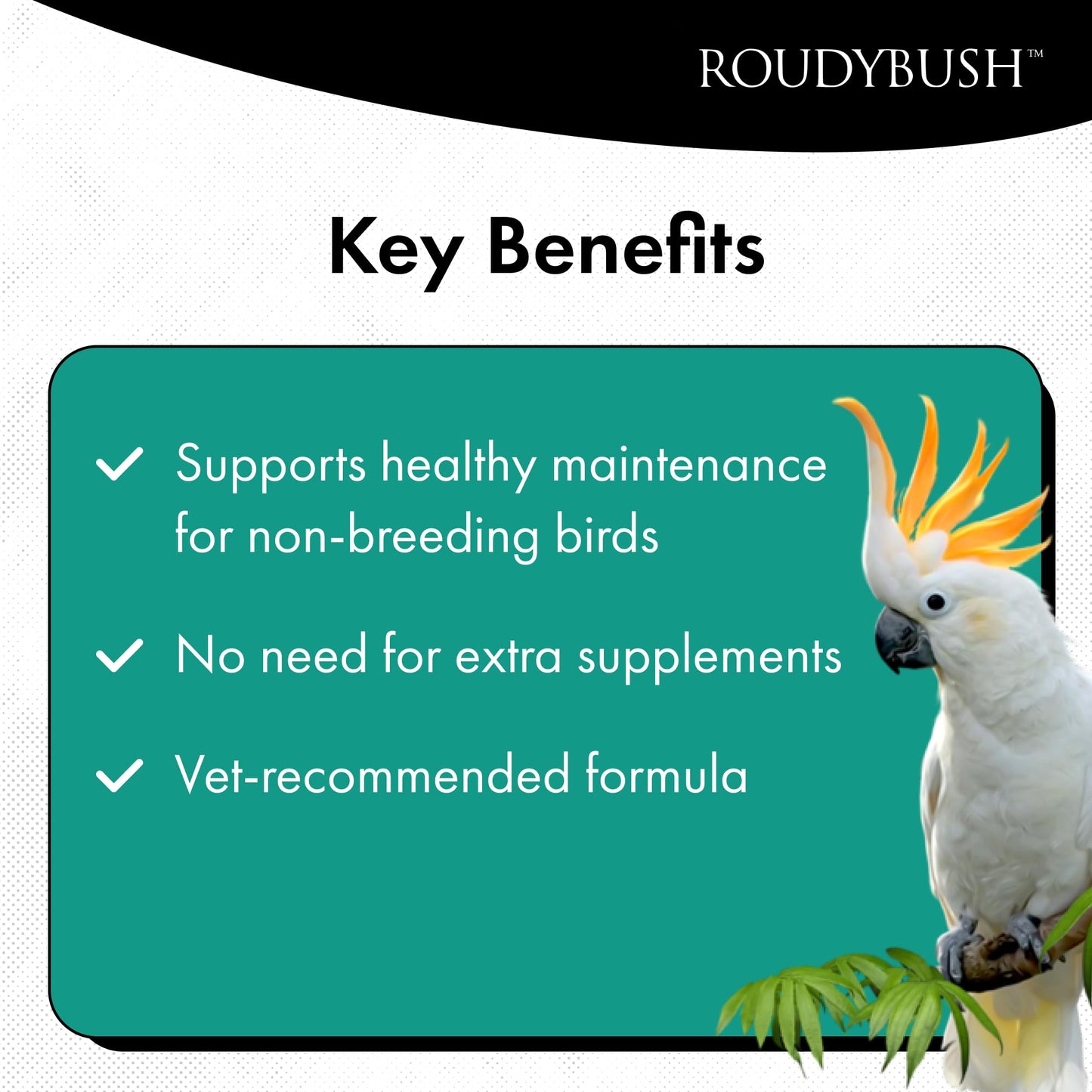 Roudybush Daily Maintenance Bird Food, Mini, 44-Ounce