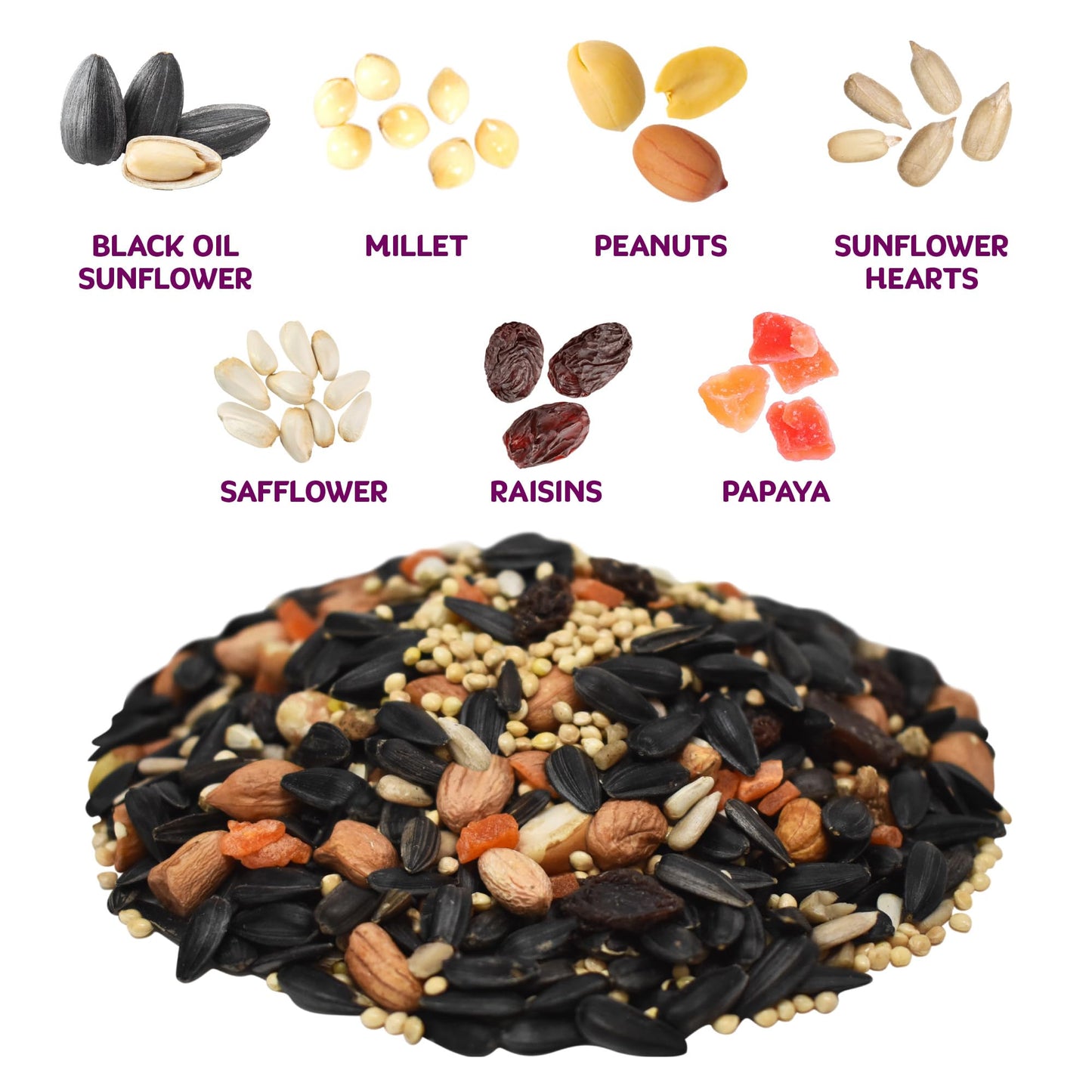 Audubon Park Nut & Fruit Wild Bird Seed – 15 lb. Premium Blend with Sunflower Seeds, Peanuts, Safflower & Dried Fruit – Bird Food for Outside Feeders