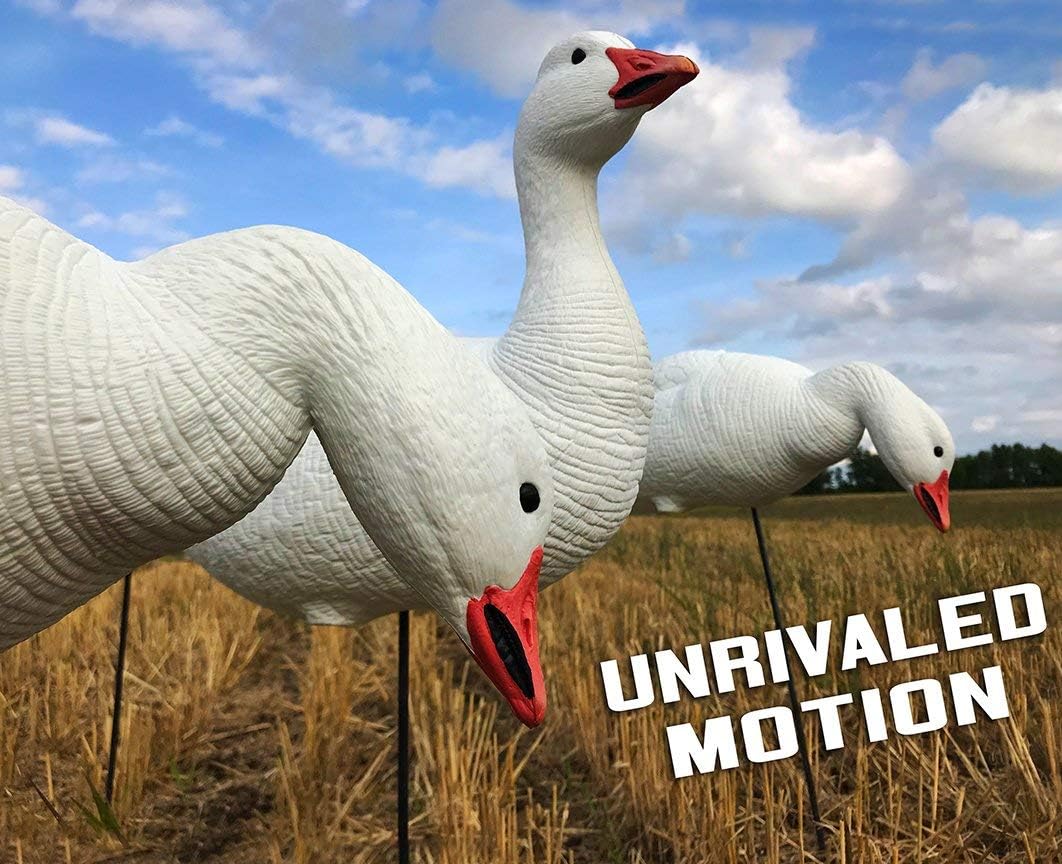 White Rock EVAC Fullbody Snow/Blue Goose Decoy Combo - 12 Pack