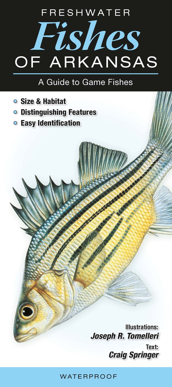 Freshwater Fishes of Arkansas: A Guide to Game Fishes