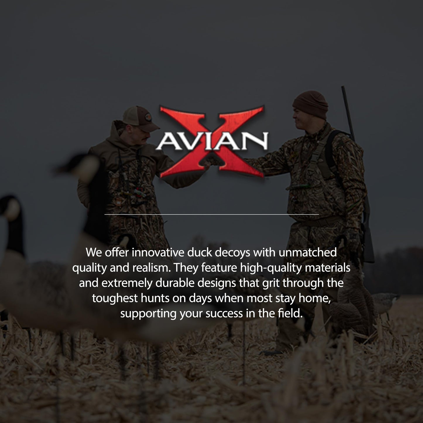 Avian X AXP Honkers Fusion Pack Full Body Canada Goose Decoys with Ultra Realistic Paint, Flocked Heads