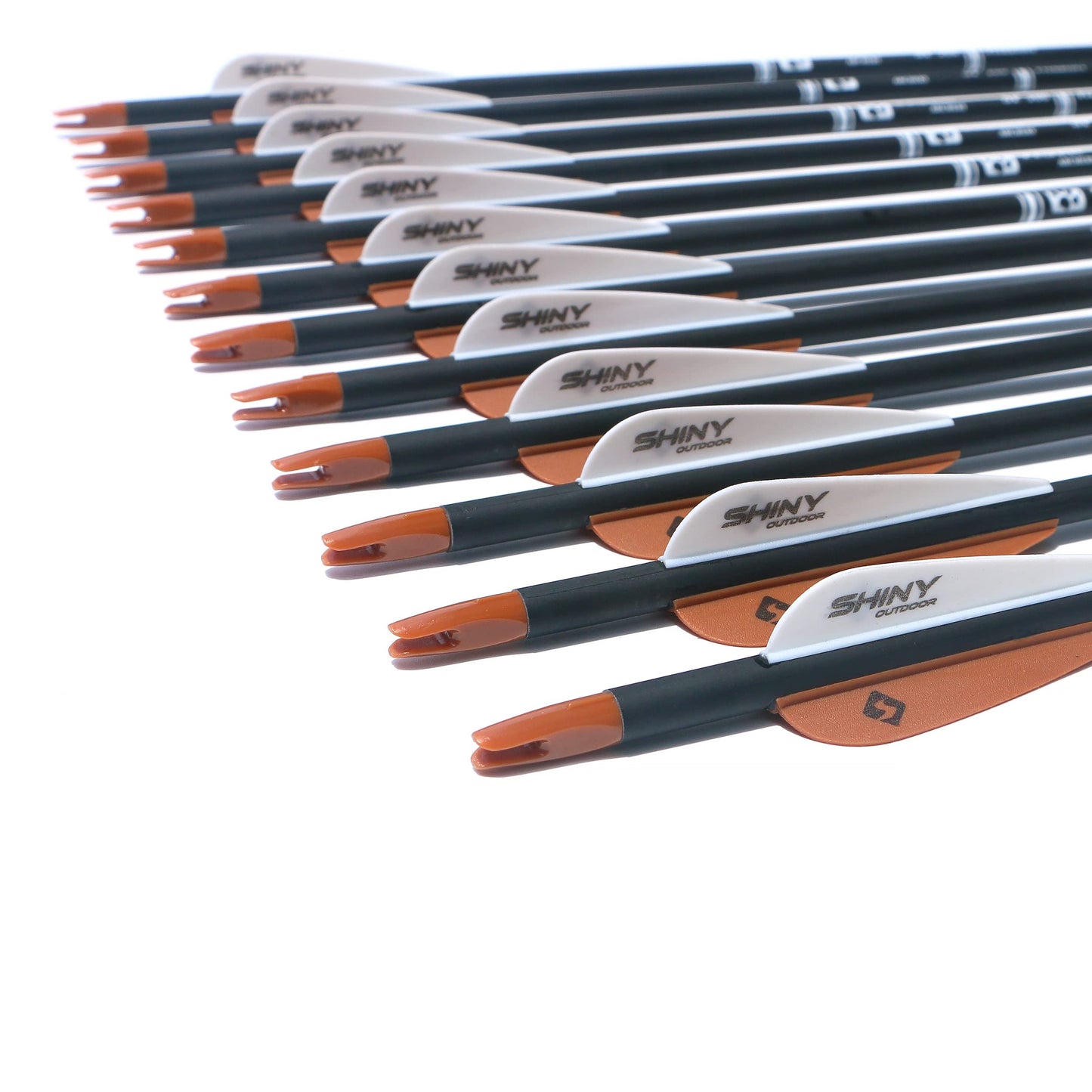 30Inch Carbon Arrow Practice Hunting Arrows with Removable Tips for Compound & Recurve Bow(Pack of 12)