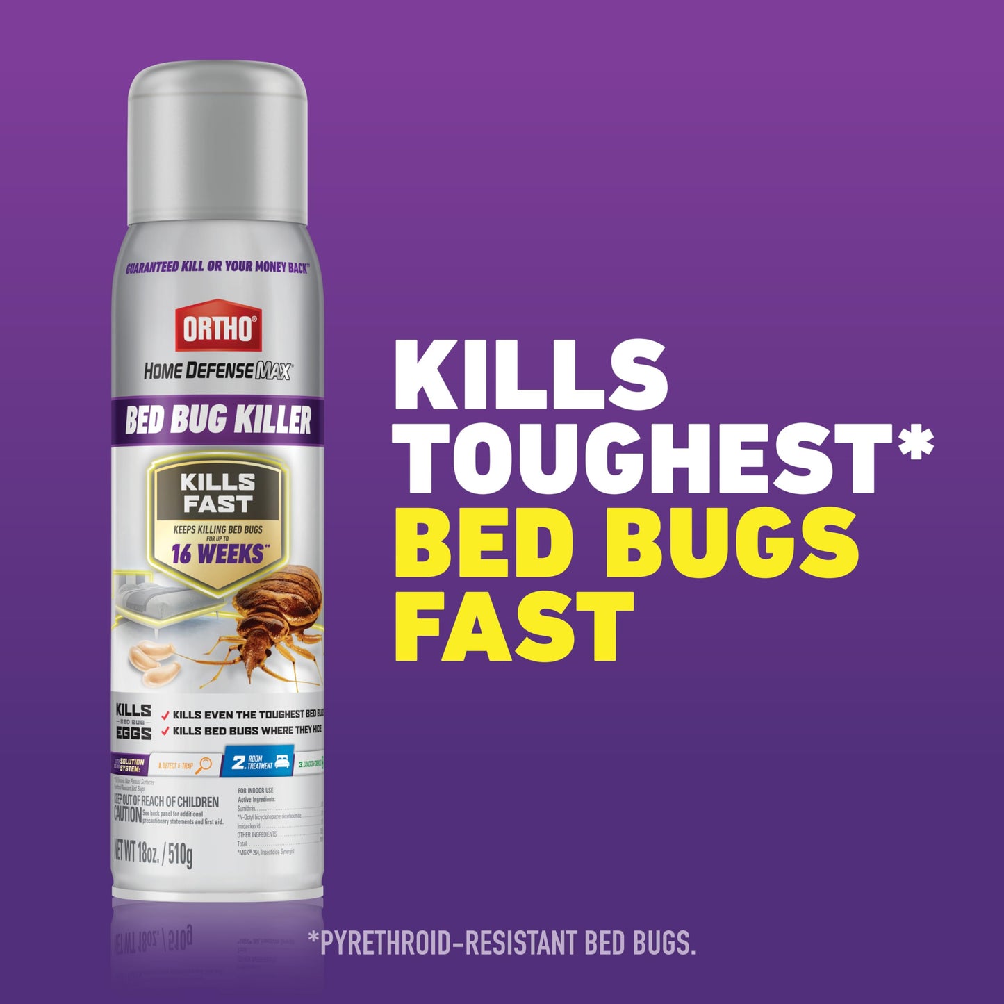 Ortho Home Defense Max Bed Bug, Flea and Tick Killer with Comfort Wand, Bed Bug Spray, Kills Bed Bug Eggs, Fleas and Ticks, 1 gal.
