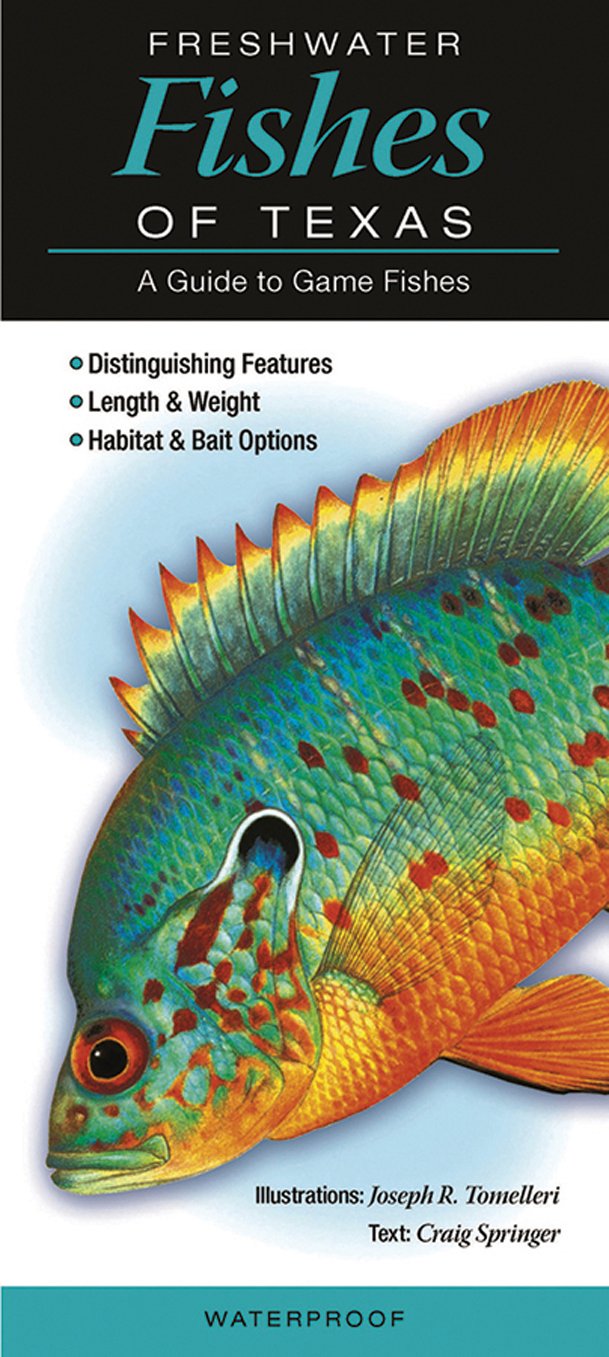 Freshwater Fishes of Texas: A Guide to Game Fishes