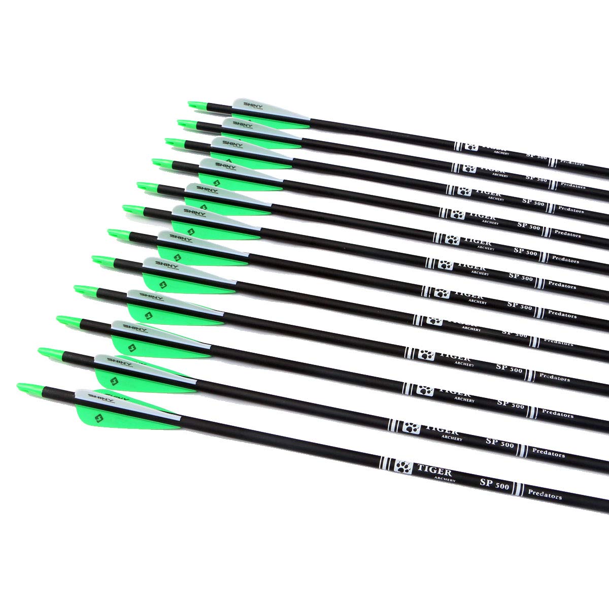 30Inch Carbon Arrow Practice Hunting Arrows with Removable Tips for Compound & Recurve Bow(Pack of 12)