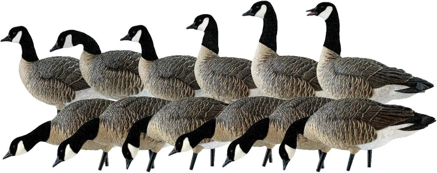 Avian X AXP Lessers Outfitter Pack, 12 Full Body Canada Goose Decoys, Oversized, Flocked Heads, 12 Stakes, Incudes 12-Slot Bag