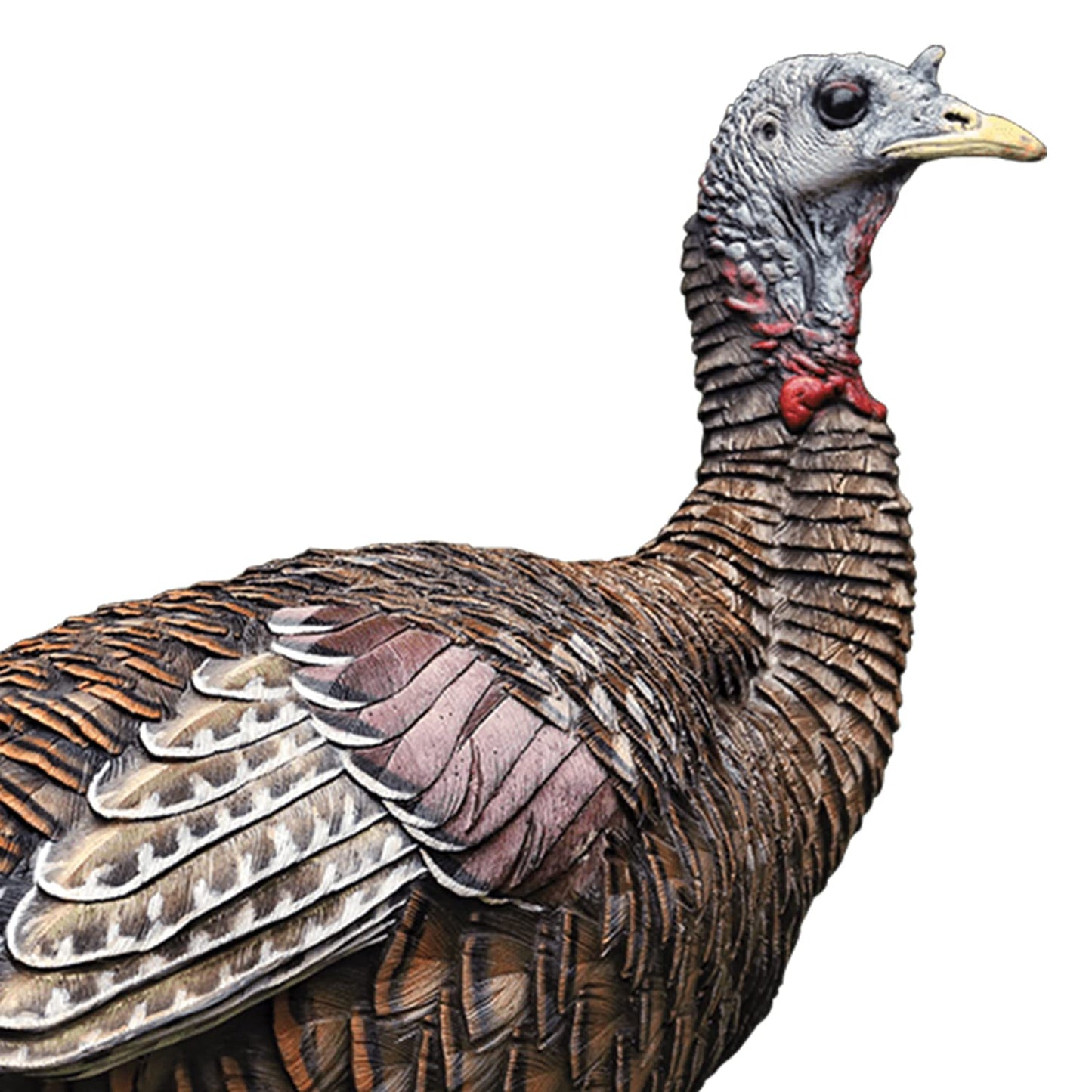 Avian X LCD Lookout Hen Lifelike Collapsible Turkey Gobbler Hunting Decoy w/ Carbon Stake, Carry Bag, & Storage Compression Strap