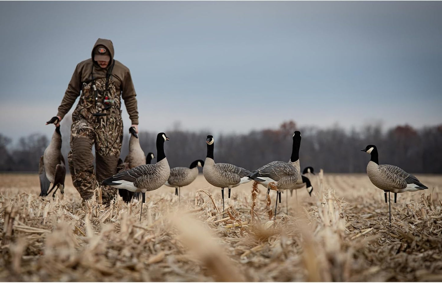 Avian X AXP Lessers Outfitter Pack, 12 Full Body Canada Goose Decoys, Oversized, Flocked Heads, 12 Stakes, Incudes 12-Slot Bag