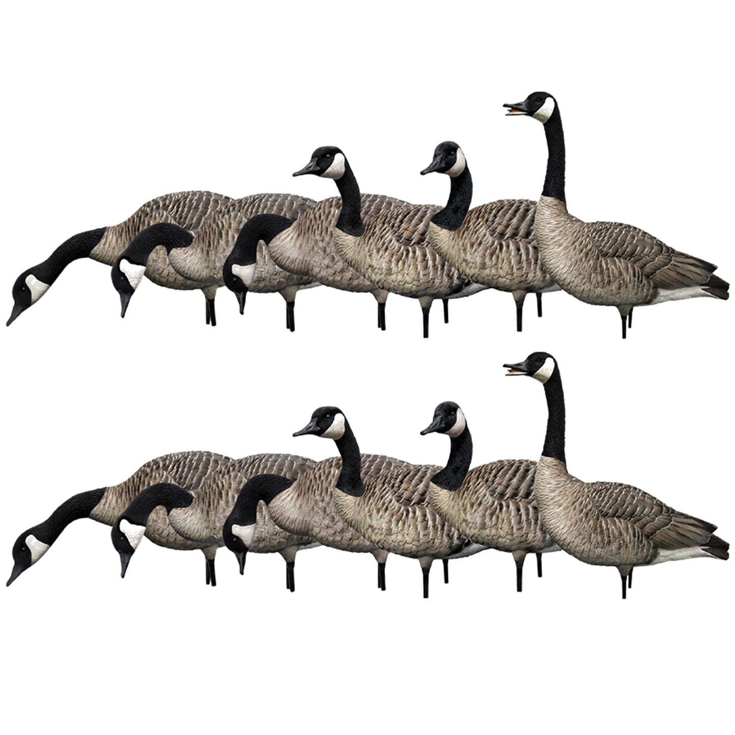 Avian X AXP Honkers Fusion Pack Full Body Canada Goose Decoys with Ultra Realistic Paint, Flocked Heads