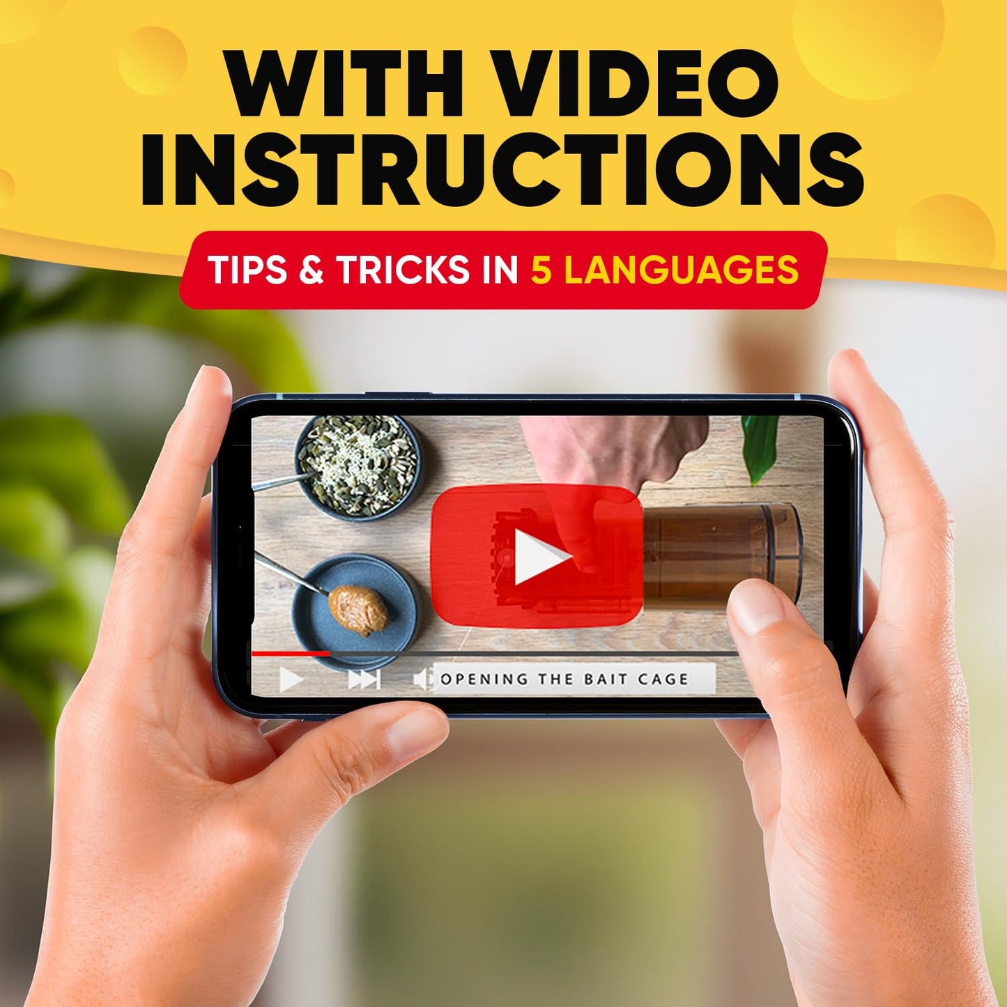 Motel Mouse Humane No Kill Live Catch and Release Mouse Traps, Reusable with Cleaning Brush - 4 Pack