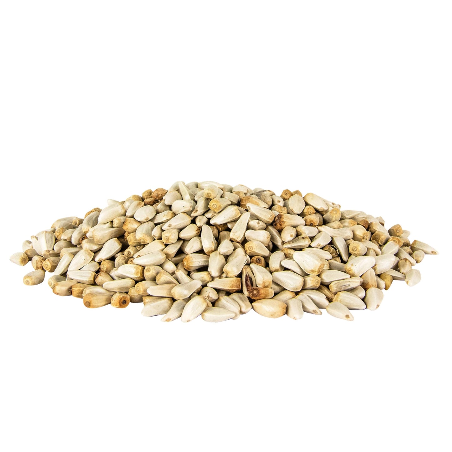 Pennington Pride Songbird Nut & Fruit Blend, Wild Bird Seed for Outside Feeders, Advanced Nutrition Formula for Bird Health, 10-lb. Bag