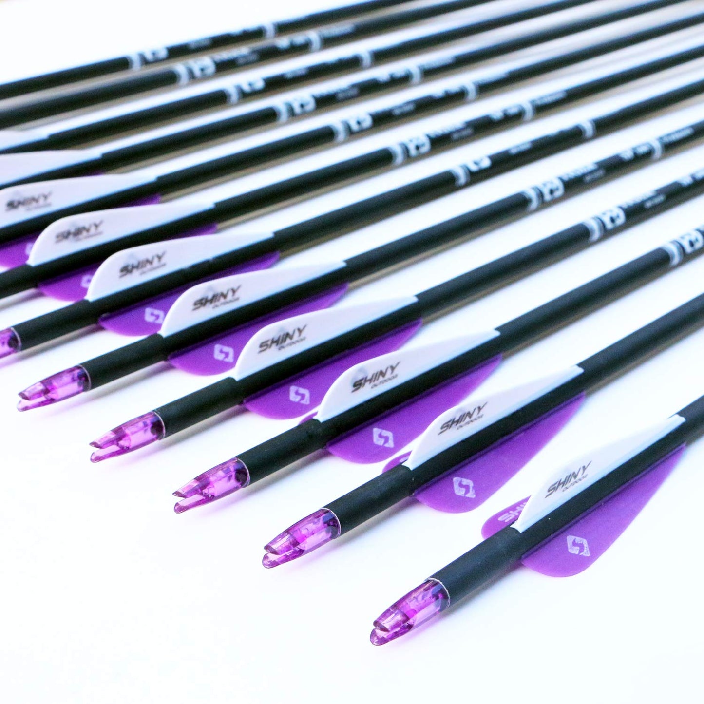 30Inch Carbon Arrow Practice Hunting Arrows with Removable Tips for Compound & Recurve Bow(Pack of 12)