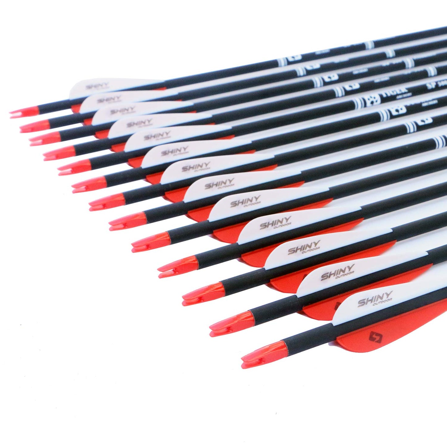 30Inch Carbon Arrow Practice Hunting Arrows with Removable Tips for Compound & Recurve Bow(Pack of 12)