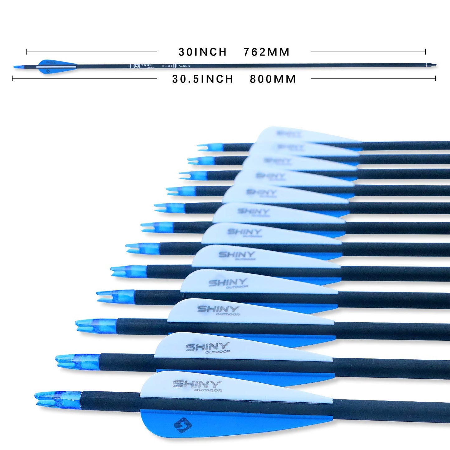 30Inch Carbon Arrow Practice Hunting Arrows with Removable Tips for Compound & Recurve Bow(Pack of 12)