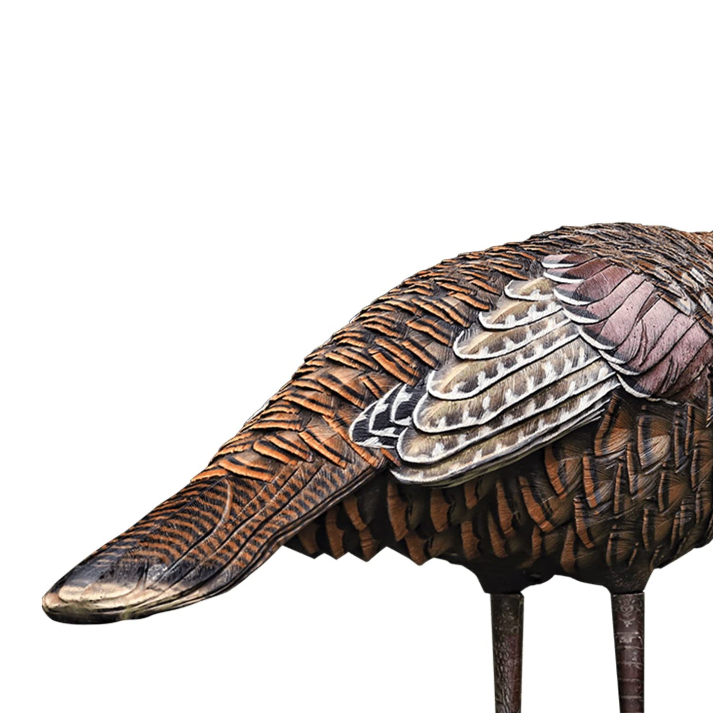 Avian X LCD Lookout Hen Lifelike Collapsible Turkey Gobbler Hunting Decoy w/ Carbon Stake, Carry Bag, & Storage Compression Strap