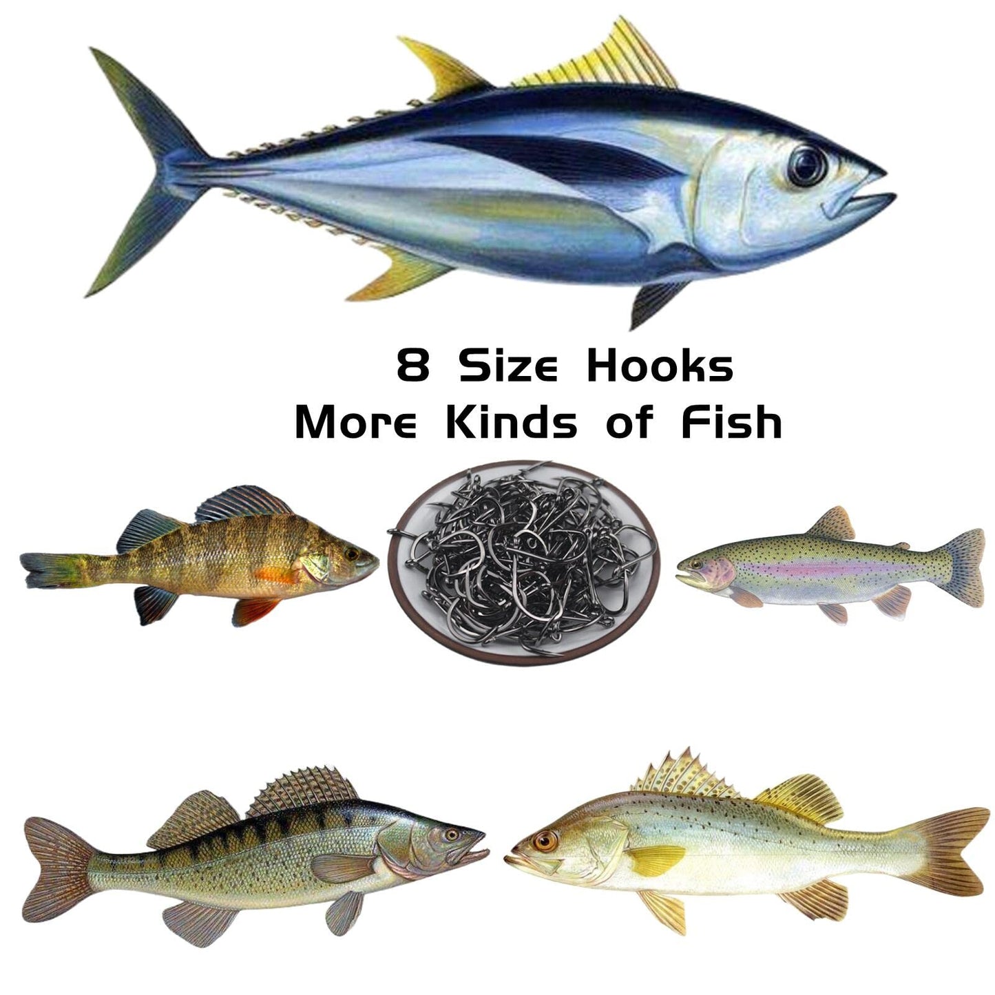 Fishing Hooks Freshwater Saltwater Fish Hooks Bulk Fishing Hooks Set Worm Catfish Hooks Fish Gear Equipment Supplies