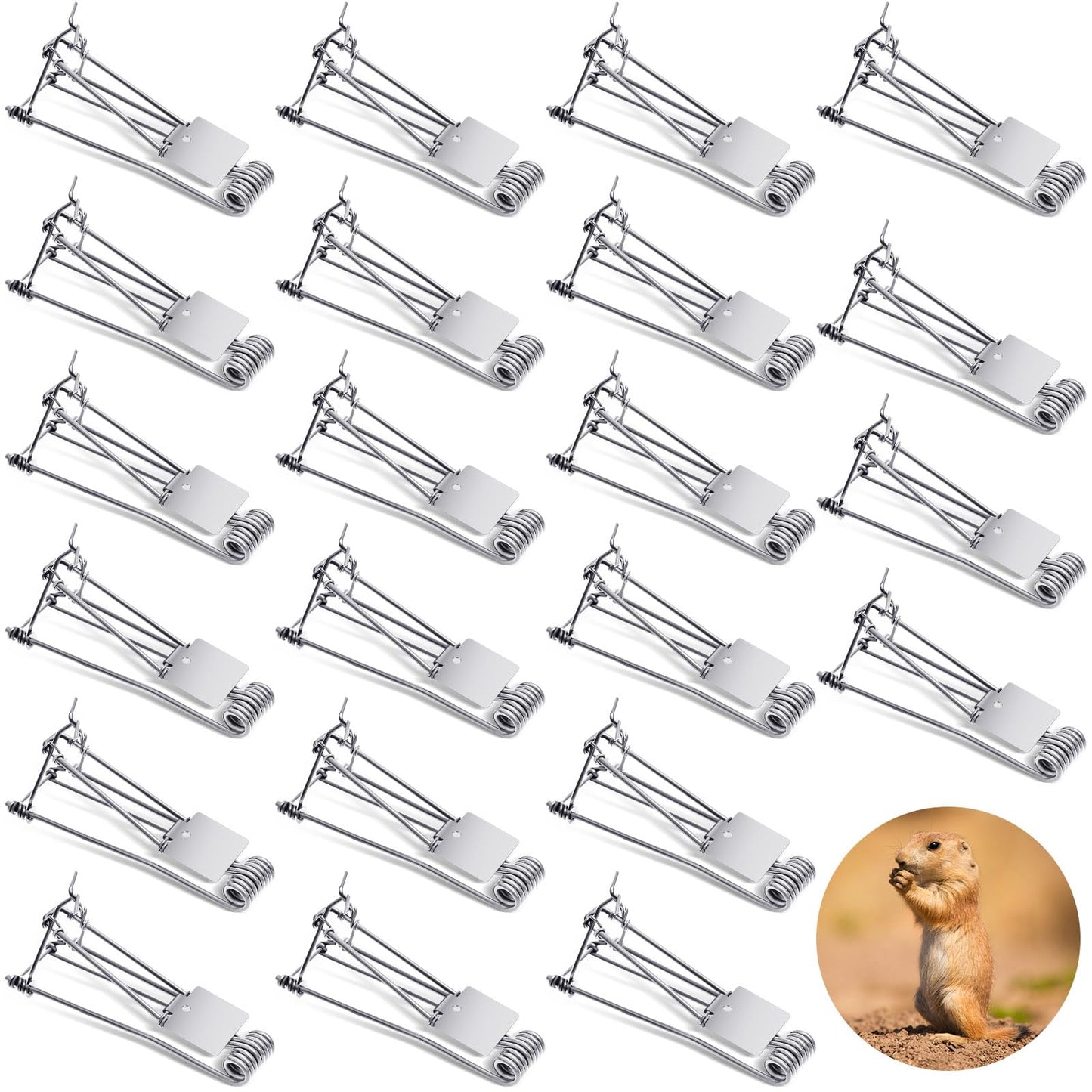 Qualirey 2 Pcs Outdoor Gopher Trap Easy Set Mole Trap Weather Resistant Gopher Killer Vole Killer for Lawn Garden Farm (Black)