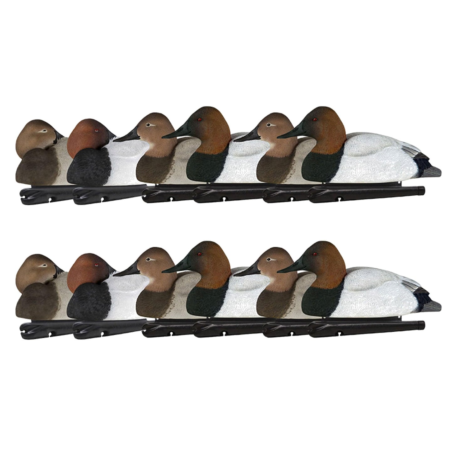 Avian X Topflight Canvasbacks Decoys Replicated Real Duck Bird Pack, Weight Forward Swim Keel Realistic Movement Design